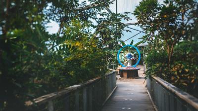 Globe model on Rainforest Canopy Walkway at Eden Project